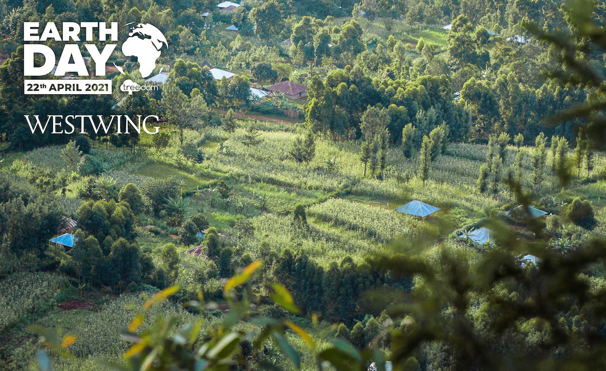 Earth day: Westwing con Treedom per la piantumazione di ...